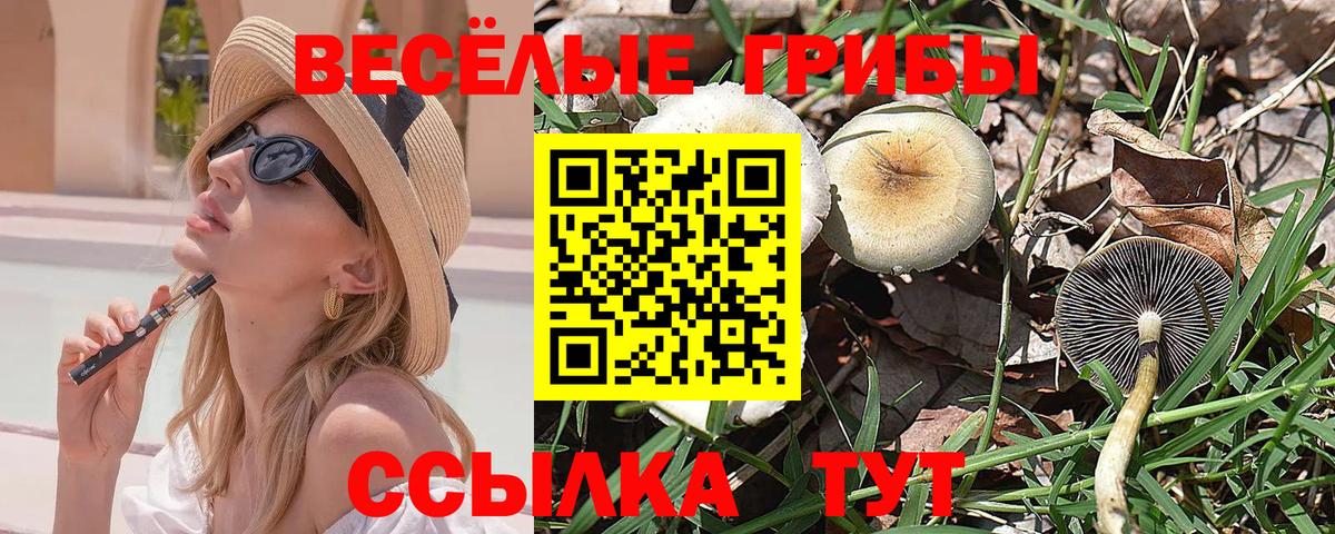 Галлюциногенные грибы мицелий Ленинск-Кузнецкий